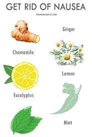 You Might Have Experienced Nausea At Some Or The Other Point Of Time It Leaves You Swea Remedies For Nausea Natural Headache Remedies Home Remedies For Nausea