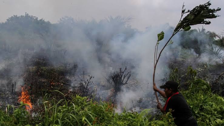 Thick grey haze blanketing an Indonesian village as forest fires continue to burn.