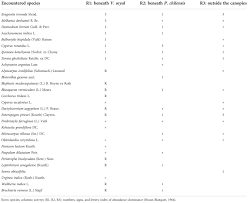 Image result for Blainvillea gayana