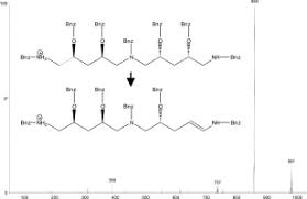 Image result for Fadogia homblei