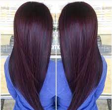 Plum Brown Black Cherry Hair Color Hair Color For Black Hair Cherry Hair