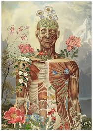 Doctor Gift Muscle Anatomy Art Anatomy Wall Art Muscle Wall Art Anatomical Decor Flower Anatomy Print Anatomy Poster Ska150wa3 Anatomy Art Art Medical Art