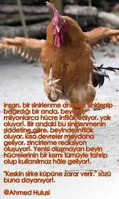 Tasavvuf Ofke Beyin Hucreleri Ahmed Hulusi Guzel Soz Pozitif Psikoloji Kitap Alintilari