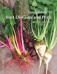 We did not find results for: Compendium Of Beet Diseases And Pests Second Edition By Scientific Societies Issuu