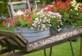 Zinkwanne Bepflanzen Und Als Pflanzkubel Oder Miniteich Gestalten Neueste Dekoration Garden Junk Rustic Gardens Garden Tours