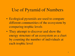 H Pyramid Of Numbers Extended Study Ppt Download
