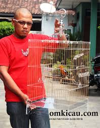 Sangkar kotak ukuran 20x20x20cm dari bahan kayu balok. Burung Anda Kurang Terpantau Juri Coba Sangkar Transparan Om Kicau
