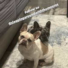 Ethel Bean and Edwin H (@marvelous_miss_ethel_bean) • Instagram photos and  videos
