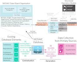 MOSAIC - A Unified Trait Database to Complement Structured Population Models  | Scientific Data