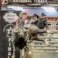 NFPB National Finals Bull Riding event image