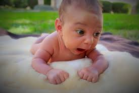 Prenatal Yoga • Social/Emotional Education & Mindful Movement for Kids and  Teens • Special Needs Yoga • Online Yoga • Corporate + Community Yoga •  Sicilian Yoga