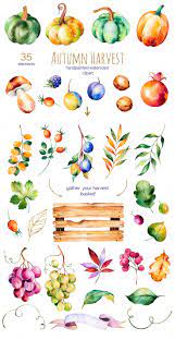 Autumn Harvest Fall Watercolor Autumn Art Fall Harvest
