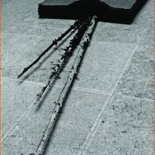 For three consecutive days, beuys would spend eight hours living and communing with the coyote, which had been transported to the city after some legal finagling. Joseph Beuys I Like America And America Likes Me 1974 Performance Download Scientific Diagram