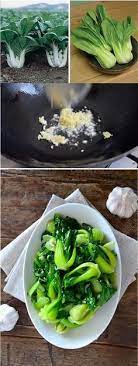 Garlic Baby Bok Choy Stir Fry Recipe Healthy Recipes Food Vegetable Dishes