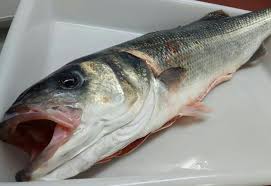 La lubina, 2 lobina, 3 róbalo, 4 robalo 5 o robaliza (dicentrarchus labrax) es una especie de pez perciforme de la familia moronidae. Como Diferenciar La Lubina Salvaje De La Lubina De Acuicultura Blog