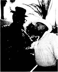 Image result for Harvest Hilite Dark 1977 Hotpoint