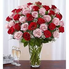 Jun 01, 2010 · when you can see that you will have just enough to wrap the remaining fabric around the stem, tapper your glue line in towards the stem. Pink And Red Long Stem Roses Lutz Florida Florist The Flower Box