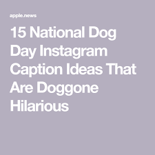 National brother day facts & quotes according to jeffrey kluger, author of the sibling effect, men who have sisters are better at talking to women than those who grew up without a sister. 15 National Dog Day Instagram Caption Ideas That Are Doggone Hilarious Funny Dog Captions Dog Instagram Captions Dog Captions For Insta