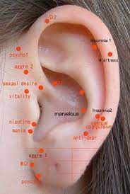 Nogier Psychotherapy Ear Points Acupressure Ear Reflexology Ear Acupressure Points