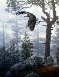 Pin By Reis On Outdoors Beautiful Birds Wildlife Prints Bald Eagle
