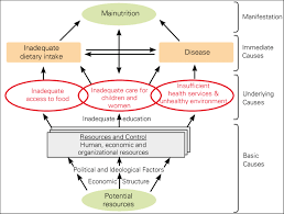 Unicef Nutrition Conceptual Framework Download Scientific Diagram