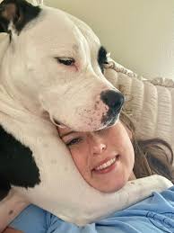 Found Dog in Blum at River Stop