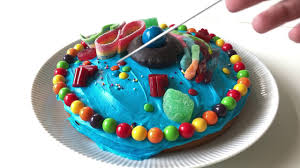 Maybe you would like to learn more about one of these? Cake Cell And Organelles Youtube