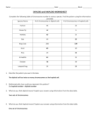 Haploid cells have half the number of chromosomes (n) as a diploid, with only one complete set of chromosomes. Diploid And Haploid Worksheet