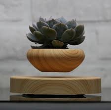 Our plastic plant pots come in two types: Best Levitating Planters You Can Buy Online How Levitating Planters Work