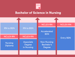 Looking for how long is a nursing degree? Apprenticeship And The Future Of Nursing The Push For The Bachelor S Degree In Nursing