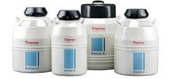 CIENYTEC TANQUES Y RECIPIENTES PARA ALMACENAMIENTO CRIOGENICO ...