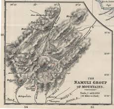 Image result for Pavetta gurueensis