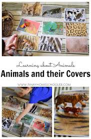 Animals And Their Covers Animal Habitats Preschool Zoo Activities Animal Coverings