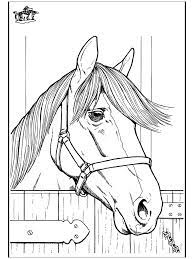 Well youre in luck because here they come. Horse Head Coloring Pages Horse Coloring Pages Horse Coloring Books Horse Coloring