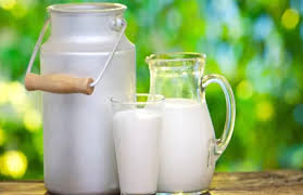 Boiling The Milk Ends Its Nutrients - इस तरह करें ...