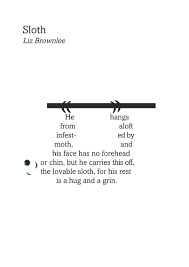 Sloth Poem Sloth Poems Fathers Day Crafts