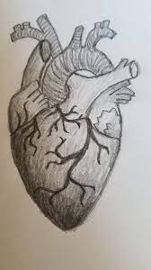 Realistic Heart Drawing : 3 Steps - Instructables
