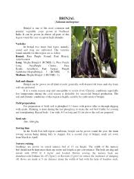 This variety is hard to find, but if you do get your hands on it, try adding a handful to a thai curry. Brinjal Eggplant Sowing
