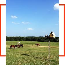THE BEST 10 Horse Boarding near LAKEWAY, TX - Spicewood Farms, XLR8 Ranch,  Madrone Ranch Stables - Yelp