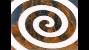 Image result for teknambul