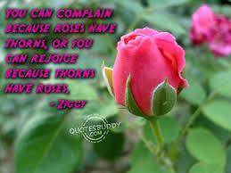 I wanted to be your rose, to be your most beloved but you were too afraid of my thorns. Quotes About Roses 460 Quotes