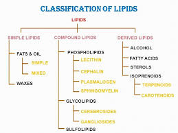 Classification Of Lipids Biochemistry Notes Chemistry Education Teaching Biology