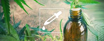 Stir the two ingredients together until well combined. How To Make Alcohol Free Cannabis Tincture Zamnesia Blog