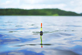 / download this wallpaper sports/fishing (960x800) for all your phones and tablets. Sport Fishing 1080p 2k 4k 5k Hd Wallpapers Free Download Wallpaper Flare