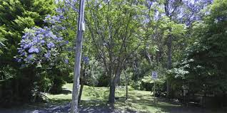 1,268 likes · 101 talking about this · 106 were here. Towradgi Reserve Narraweena Places To Go