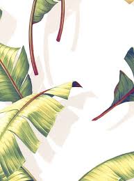 Steve's blinds & wallpaper is an online retailer that sells hundreds of interior products ranging from wallpaper to window blinds. 50 Steve S Blinds And Wallpapers On Wallpapersafari