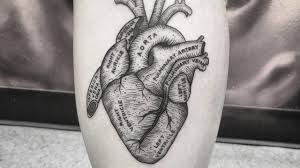 37,544 likes · 53 talking about this. 39 Inspiring Anatomical Heart Tattoos Tattoobloq