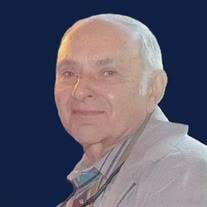 Harold "Hal" Levy Obituary