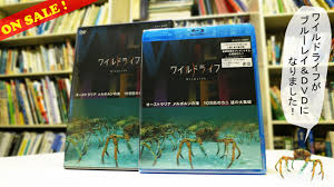 Check spelling or type a new query. Nhk ãƒ¯ã‚¤ãƒ«ãƒ‰ãƒ©ã‚¤ãƒ• Dvdã¨ãƒ–ãƒ«ãƒ¼ãƒ¬ã‚¤ã§ç™ºå£²é–‹å§‹ æ—¥æœ¬æ°´ä¸­æ˜ åƒ