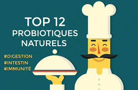 Top 12 Des Probiotiques Naturels Probiotiques Sante Digestive Probiotique Naturel